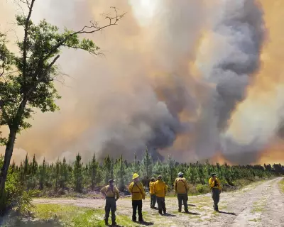 Wildfires Ravage Georgia and Florida, Destroying Homes and Triggering Evacuations