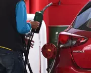 Albanese Government Considers Further Fuel Relief in May Budget Amid Global Crisis