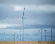 Amazon Secures Nine Major Renewable Energy Deals in Australia for Data Centers