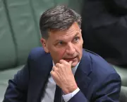 Angus Taylor Unveils Hardline Immigration Policy with Trumpian Echoes