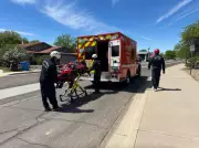 Arizona Hiker Hospitalized After Multiple Bee Stings Near Phoenix