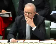 Australia's Energy Crisis Sparks Urgent Economic Reform Push