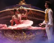 Ballet Dancers on Career Pivots: From Midwifery to the House of Lords