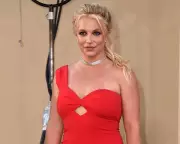 Britney Spears Enters Rehab After DUI Arrest, Seeks Treatment