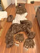 California Trio Jailed for Bizarre Bear Costume Insurance Fraud Scheme