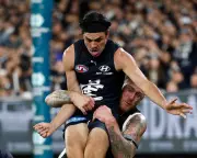 Carlton AFL Player Elijah Hollands Hospitalized After Mental Health Episode During Match