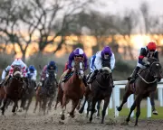 Chelmsford City Racecourse Faces Closure After Licence Denial