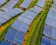 Clean Energy Surge Meets Global Electricity Demand in 2025, Fossil Fuels Stall