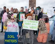 Cornwall Council Faces Fury Over Controversial Glyphosate Weed Plan