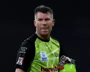 Cricket Star David Warner Charged with Drink-Driving in Sydney