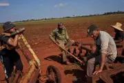 Cuban Farmers Struggle Under Sanctions and Fuel Shortages in Agricultural Heartland