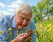 David Attenborough at 100: Share Your Memories of the Legendary Broadcaster