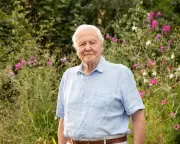 David Attenborough's Secret Garden: A Centenary Fantasy in British Backyards