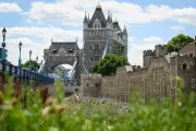 Debate Over Equal Pricing for Benefits Claimants at Cultural Landmarks Intensifies