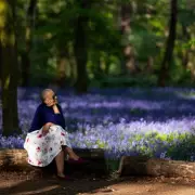 Discover London's Hidden Bluebell Paradise at Wanstead Park's Chalet Wood