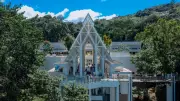 El Yunque's Resilient Rebirth: A Visitor Center Transformed by Art and Innovation