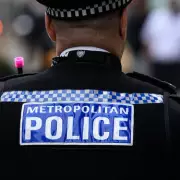 Enfield Man Charged with 13 Counterfeit Guns and 8 Injured Dogs