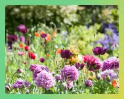 Essential Spring Garden Preparation Tips for a Vibrant Summer
