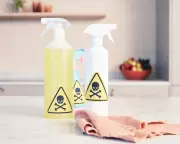 EU Toxic Chemical Ban Hit by Delays: 100,000 Tonnes Extra Pollution