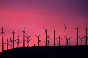 Federal Judge Halts Trump Administration's Restrictions on Wind and Solar Energy Projects
