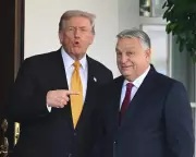 From Stink Bugs to Enemies: How Orbán's Media Playbook Inspired Trump