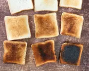 Gene-Edited Wheat Reduces Carcinogenic Risk in Toasted Bread