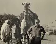 George Bennett's Witty Advice on Camel Milk and Media Savvy at Oxford and IFRC