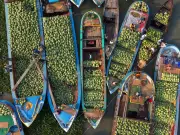 Global Photo Roundup: From Bangladesh Watermelon Market to Pope's Angola Visit