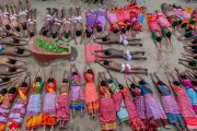 Global Photo Roundup: New Year Celebrations, Baby Elephant Debut, and World Events