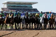 Grand National 2026: Comprehensive Horse-by-Horse Guide to All 34 Runners