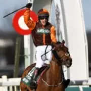 Grand National Champion Noble Yeats Dies After Colic Battle