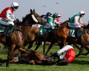Grand National Horse Welfare Debate Intensifies Amid Racing's Unrivalled Status