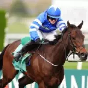 Grand National Winner Disqualified After Jockey's Whip Rule Violation