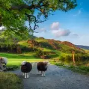 Grasmere Crowned UK's Top Staycation Spot for Summer 2026 by TripAdvisor