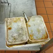 Hillingdon Takeaway Fined £14,000 for Filthy Kitchen and Fly Infestation