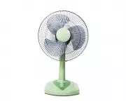 Houseplant Hack: Using a Fan to Improve Plant Health and Repel Pests