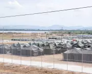 Human Rights Groups Condemn US Plan for Guantánamo Migrant Camp