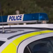 Human Skull Discovered Hanging from Tree in North London Woodland