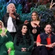 I’m A Celebrity Final: A Sad Mess with One Clear Loser David Haye