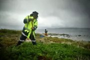 Indigenous Groups in Australia and Alaska Track Short-Tailed Shearwater Migration