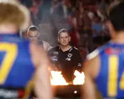 Indigenous players back St Kilda coach Ross Lyon after 'casual racism' comment