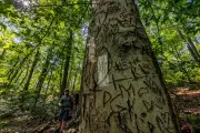 Indigenous Writer's Appalachian Trail Journey Exposes Ego in Hiking Culture