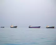 Iran Seizes Ships in Hormuz, Trump Extends Ceasefire Amid Rising Tensions