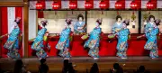Kyoto's Geisha Prepare for Historic Miyako Odori Spring Dance Festival