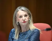 Labor Senator Deletes Anzac Day Video with Explicit Rap Song