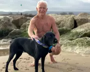 Labrador Beau Saves Owner's Life After Cardiac Arrest on Dorset Beach