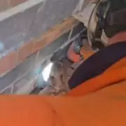 Leicester Firefighters Drill Through Wall to Rescue Three Trapped Fox Cubs