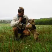 London Carpenter Quits Job After His Dog Earns More on Social Media