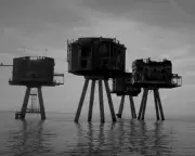 London's Last Wilderness: A Mad Max Journey Through Thames Estuary
