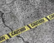 Louisiana Lao New Year Parade Crash Leaves Over 20 Injured, Driver in Custody